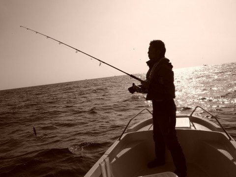 gcnannhyxxv6o7v6g76t_480_480-76f9d702.jpg