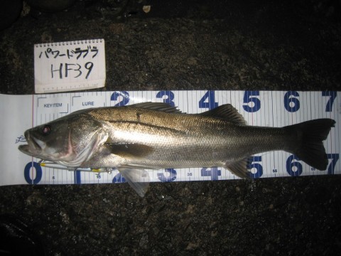 gcttwpuhkzmhmzt92iy6_480_480-68d085bc.jpg