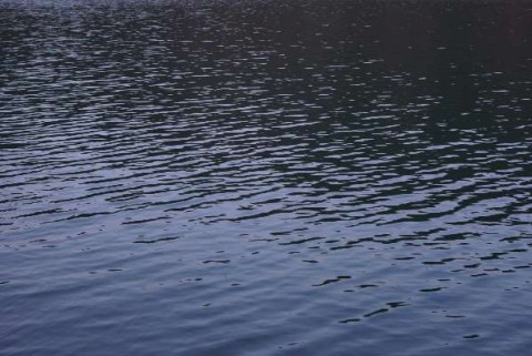 gcyf7z58ofjjsexbdnsi_480_480-54f65a2c.jpg