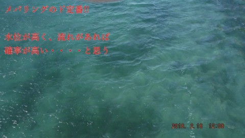 gd3dbi2vrc57ajwk7k4i_480_480-5539cd9b.jpg