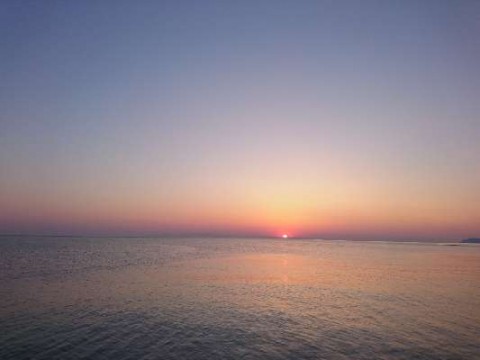 gd5bm68y9i4gxfrdtk9g_480_480-0e7014ea.jpg