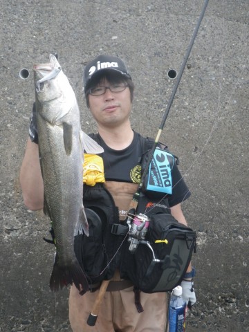 gdgnh767eik7g4kz972d_480_480-9fbf72b5.jpg
