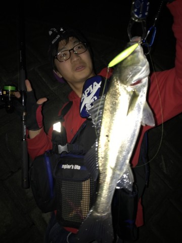 gdhxrc3haooh7w4ga5wj_690_920-4ad59b31.jpg
