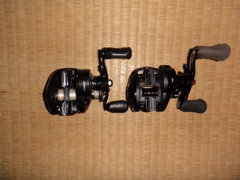 gdpe8pnzk8iecenpgi55_480_480-6df0ab51.jpg
