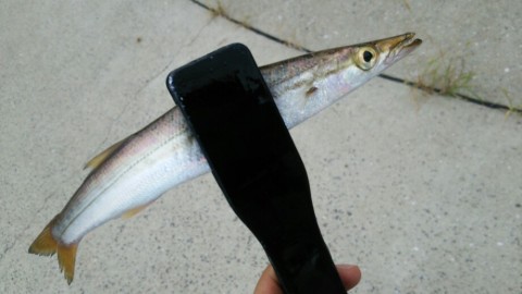 gdy9cpumxyo6sgmb6g77_920_518-b8638050.jpg