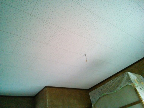 gefvn32w8cr5yar5wm7s_920_690-f9081780.jpg