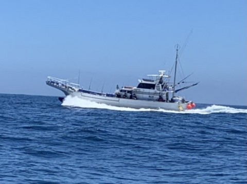 gehzevctjhubivxuk8em_480_359-d017927a.jpg