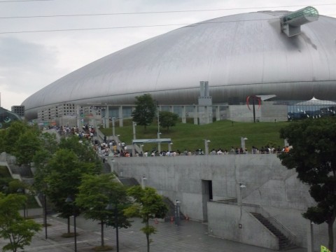 geicoup9oksgurrsyvph_480_480-b4bef12d.jpg