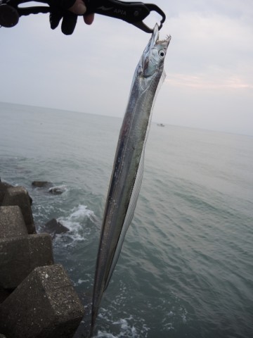 gej89ashi2ciy26muh49_480_480-a05adde3.jpg