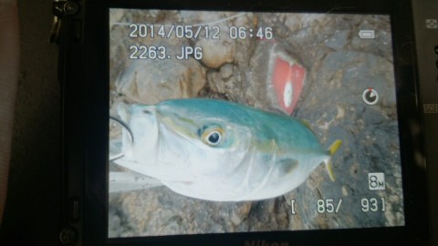 gem2t824tszeemzbmoc7_920_517-8fe59419.jpg