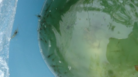 geozejdgc8te7hkyczu7_920_517-6608754c.jpg