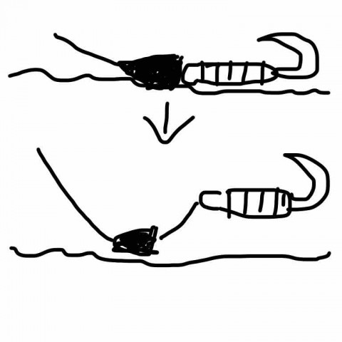 gepepdd48csjf4k8rsmn_480_480-e0c56279.jpg