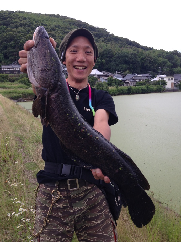 個性 ラララ雷魚 またまた岡山 個性 ラララ雷魚 またまた岡山