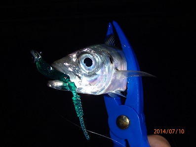 gfb24kd49jphvurj9yhf-3e822541.jpg