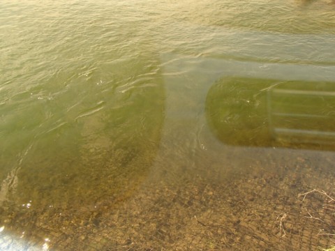 gfkjm75mddamrifnjrhc_920_690-f5f6dfcb.jpg