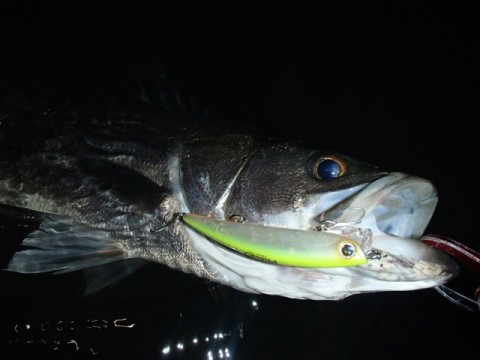 gfwvr4uoguo37ykjh2b4_640_480-23edb661.jpg