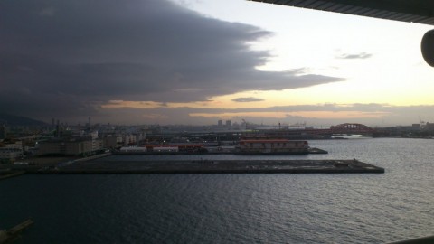 ggbvd99gxmiug46jngz3_480_480-300ff204.jpg