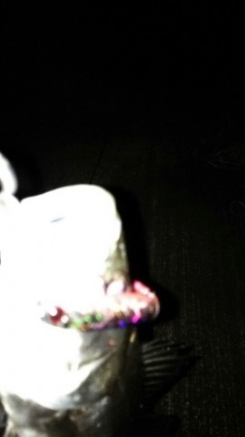 gggnn8nz85um2gxr8ndd_518_920-9479051e.jpg