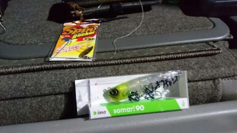ggoxo3ar4j3cnmgxt6uo_480_480-d86c605d.jpg
