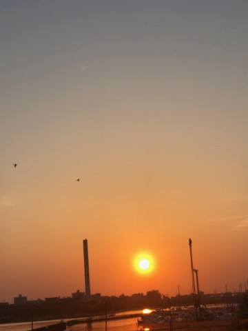 gh295bvfzdydicx4y52x_480_480-21478124.jpg