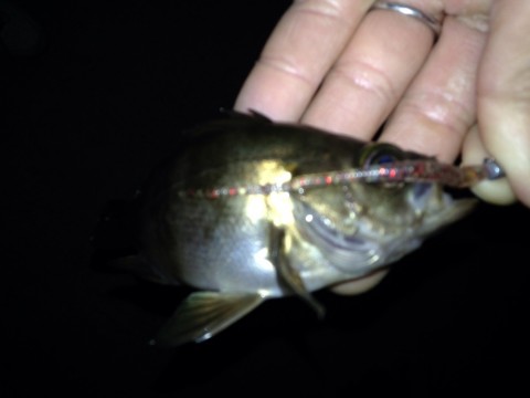 gh2apx4xx63ps8et663x_920_690-d0886ee7.jpg
