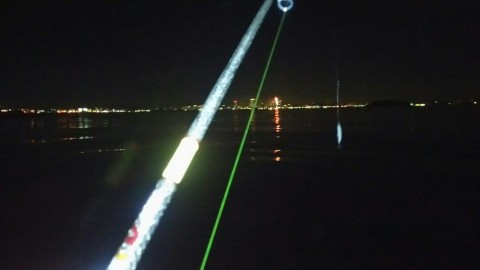 gh6r5k26b25ntkeg8jjg_480_480-00d0dfd5.jpg