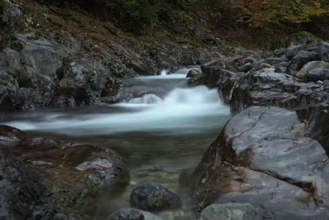 gh79ipgxazw3rwp3dg2b_480_480-87ecf5e2.jpg