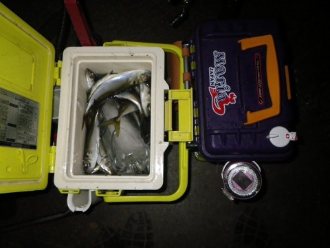 ghjirxx6n452hykaezmr_480_480-7d6f12cc.jpg