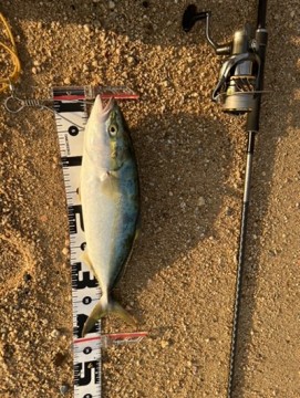 ghp2ajh7h9krjngwaik8_361_480-5a7655ca.jpg