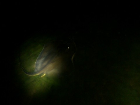 ghtmpknko37udxz7h7w5_920_690-577af550.jpg