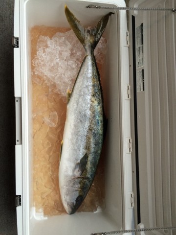 ghui7opbehmykmmhurfk_690_920-9d2fc376.jpg