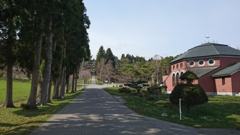 ghwpt6x5jdrchn97mw82_480_480-05cf8b7f.jpg