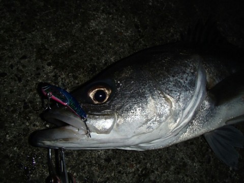 ghxhkd3bcyxsvsohztm6_920_690-d63256e0.jpg
