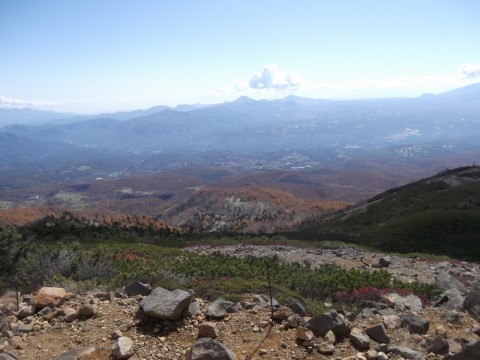 gi3nogt5hdgfafvppdd6_480_480-1844bf56.jpg