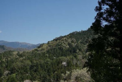 gi9d7n4h9m5v7uzoocxb_480_480-3ac97411.jpg