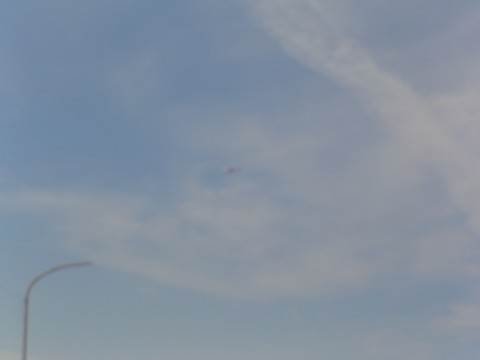 gibgrg7kyrj932zrgxhh_480_480-430ee565.jpg