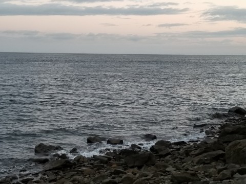 gipxu9sswxubey6d7vte_480_480-9003514b.jpg