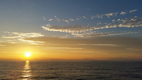 gj447juuho4g3ctbu9y3_920_518-e0838e8c.jpg
