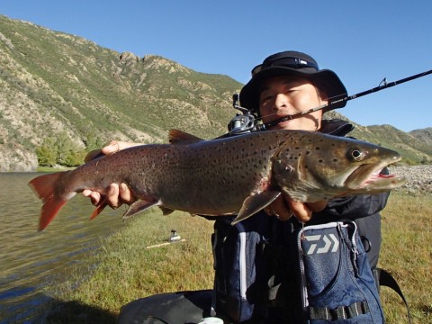 gj4fvjmpkgb887ssfbj4_480_480-6c6ed4c1.jpg