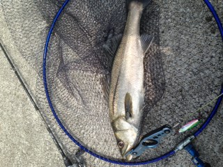 gj5frhco93ozg84h7sfr-636de9f7.jpg