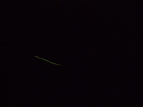 gjmidk3mr4yacb68vkn4_480_480-44a463fa.jpg
