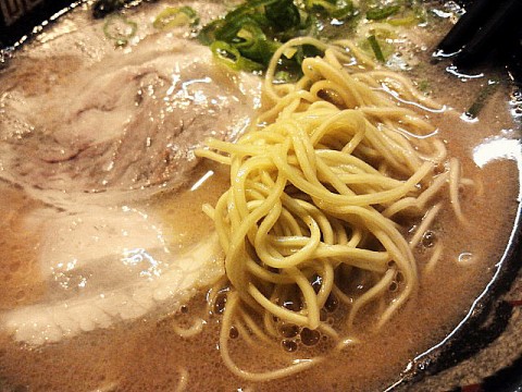 gjn5dxfiwaod4n6j76xm_480_480-08b2878f.jpg