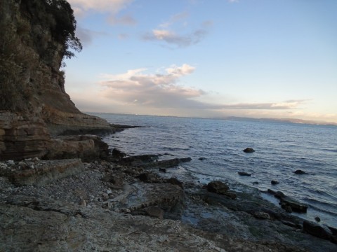 gjntnwdhfok9xvbibzt3_480_480-ac045a7b.jpg