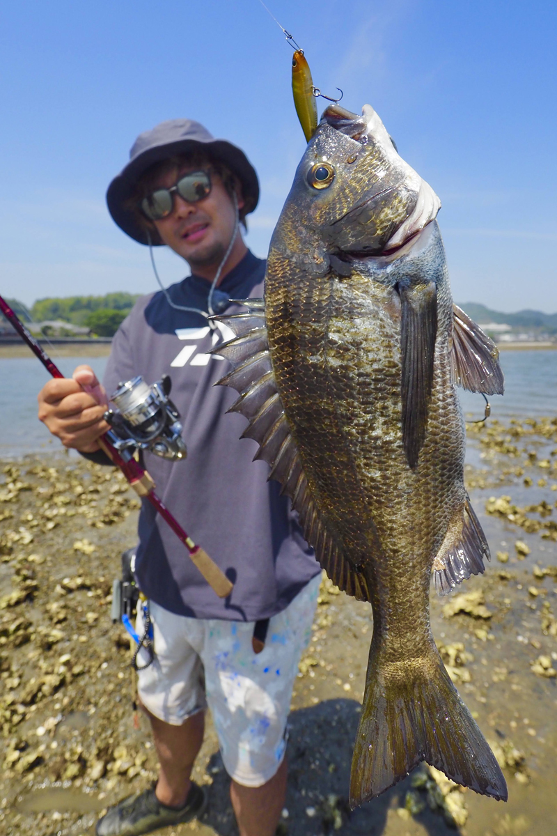 SEA SCAPE】 DAIWA・セブンハーフ（7 1/2）ってどんな