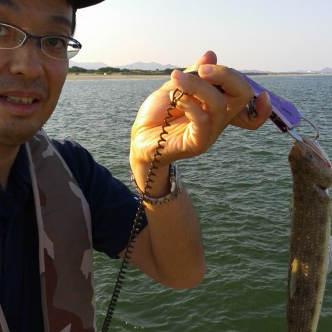 gkdbx6jfw4sx8kzcmtxj_480_480-8ec884c3.jpg