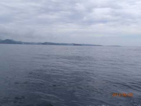 gkex49xvvc2oa3sroumf_480_480-537abe78.jpg