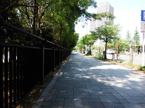 gkh83xjrt6rd9cd8et69_480_480-035188f4.jpg
