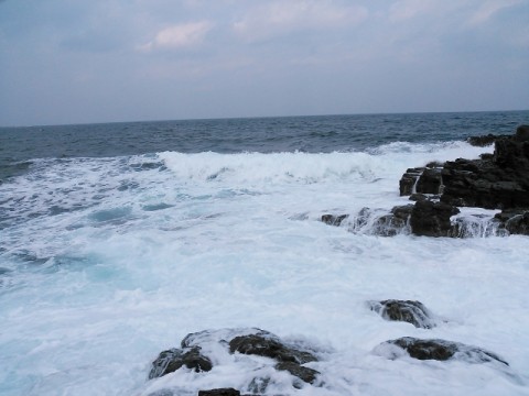 gkju2evjgcw6dgyir7re_480_480-50beae1e.jpg