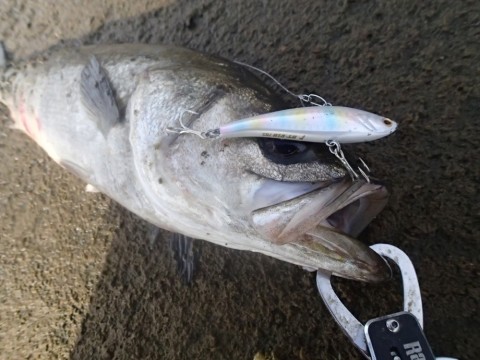 gkkeiv8cymnm7h6dkz5z_920_690-9091c44b.jpg