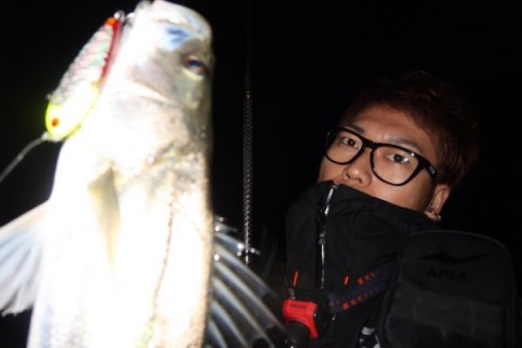 gmd3xzoyyeo7o5svzb5z_480_320-9d992820.jpg